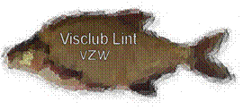 logoclub1