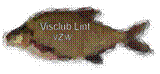 Logo Visclub Lint VZW.jpg