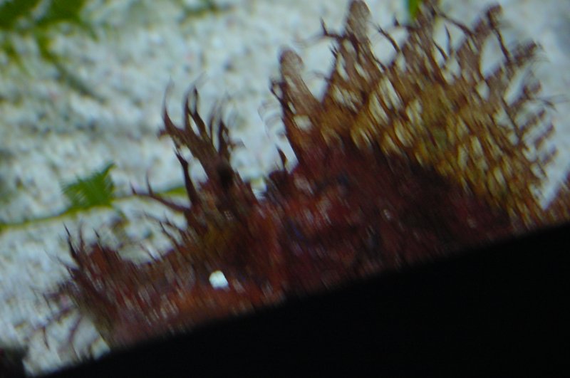 Dsc00005